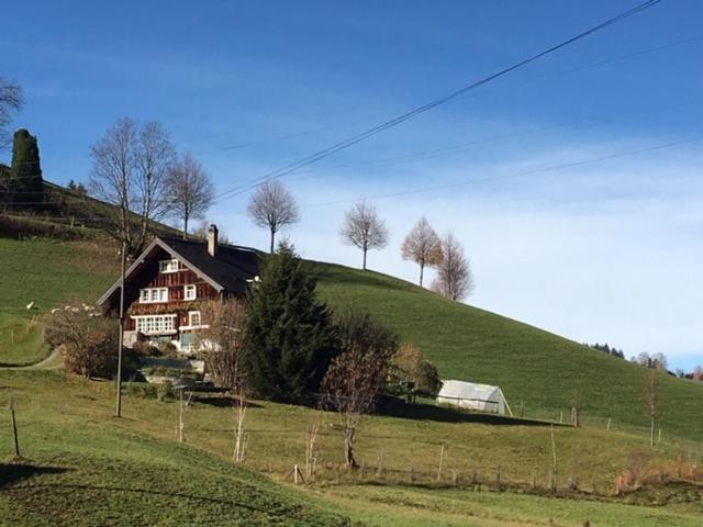 Gemütliches Ferienstudio Apartamento Heiden Exterior foto